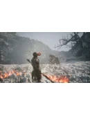 Black Myth: Wukong оффлайн аккаунт