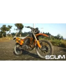 DLC SCUM: Vehicle Skins Pack КЛЮЧ STEAM RU+СНГ (AM, A