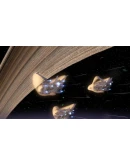 The Tomorrow War КЛЮЧ STEAM RU+СНГ+ASIA+LATAM+TR The Tomorrow War КЛЮЧ STEAM RU+СНГ+ASIA+LATAM+TR