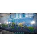 Aquarist КЛЮЧ STEAM ВСЕ СТРАНЫ