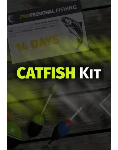 DLC Professional Fishing: Catfish Kit КЛЮЧ STEAM