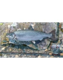 DLC Professional Fishing: Sakura Ryokan Spinning КЛЮЧ DLC Professional Fishing: Sakura Ryokan Spinning КЛЮЧ
