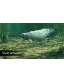 DLC Ultimate Fishing Simulator - Amazon River КЛЮЧ