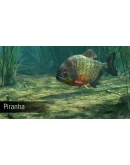 DLC Ultimate Fishing Simulator - Amazon River КЛЮЧ