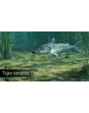DLC Ultimate Fishing Simulator - Amazon River КЛЮЧ
