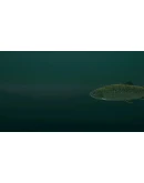 DLC Ultimate Fishing Simulator - Taupo Lake КЛЮЧ