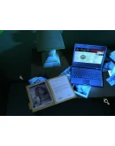 Still Life 2 КЛЮЧ STEAM РФ+СНГ