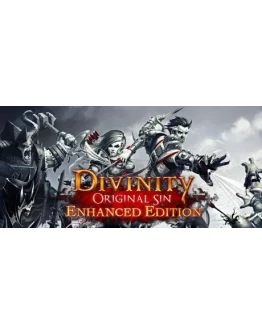 Divinity: Original Sin - Enhanced Edition Россия + Снг