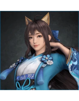 DYNASTY WARRIORS 9 Xin Xianying Special Costume DYNASTY WARRIORS 9 Xin Xianying Special Costume