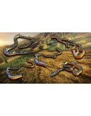 Copper Canyon Open World
