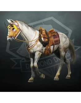 Western Tack Western Tack