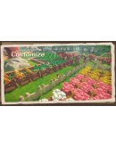 Song Of The Prairie * STEAM РОССИЯАВТОДОСТАВКА