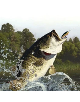 Lake Okeechobee Pack Lake Okeechobee Pack