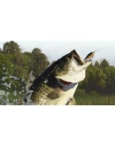 Lake Okeechobee Pack