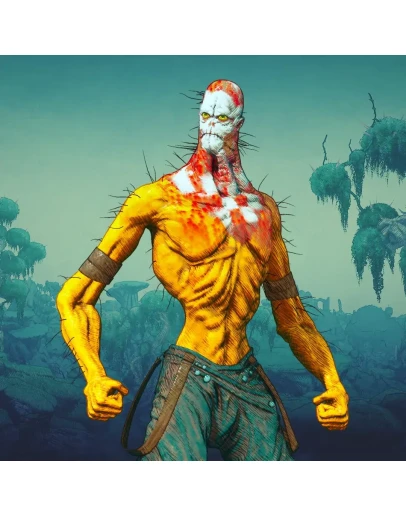 Clash Lone Fighter Pack