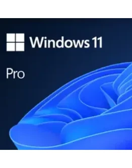 Windows 10/11 Pro