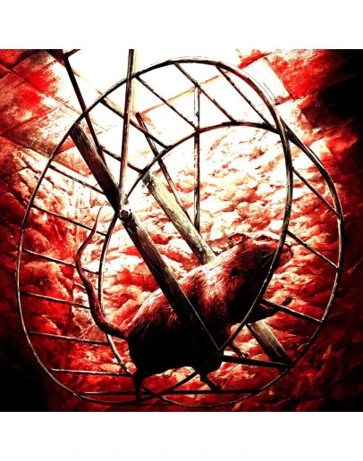 Injection 23 No Name No Number Injection 23 No Name No Number