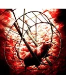 Injection 23 No Name No Number Injection 23 No Name No Number