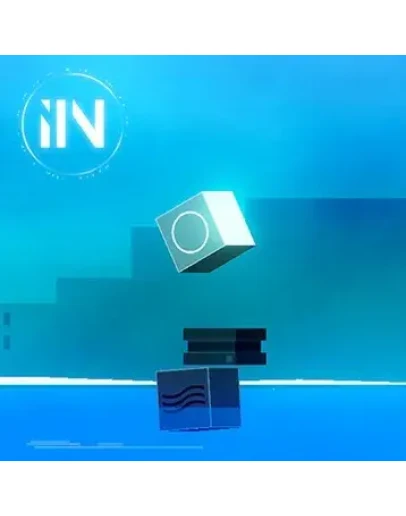 IIN