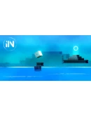 IIN