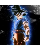 DRAGON BALL XENOVERSE 2 Conton City Vote Pack DRAGON BALL XENOVERSE 2 Conton City Vote Pack