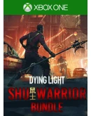 Shu Warrior