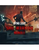 Shu Warrior