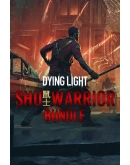 Shu Warrior