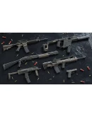 Insurgency Sandstorm TwoTone Weapon Skin Set Insurgency Sandstorm TwoTone Weapon Skin Set