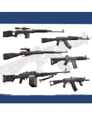 Insurgency Sandstorm Rust Wrap Weapon Skin Set