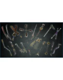 DYNASTY WARRIORS 9 Additional Weapons Set