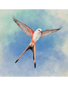 WINGSPAN WINGSPAN