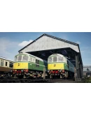 Train Sim World 5: BR Class 33 Add-On DLC