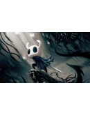 Hollow Knight Voidheart Edition Hollow Knight Voidheart Edition