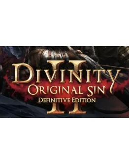 Divinity Original Sin 2 / П3 активвация PS4 Divinity Original Sin 2 / П3 активвация PS4