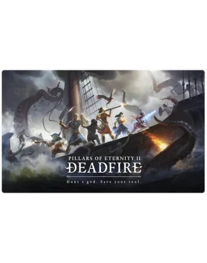 Pillars of Eternity 2 (PS4/PS5/RU) Аренда от 7 дней