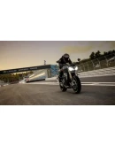 RIDE 5 - Special EditionSTEAM GIFT AUTORU+МИР