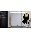 Torrent RT Microsoft Store Покупка на Ваш акк.