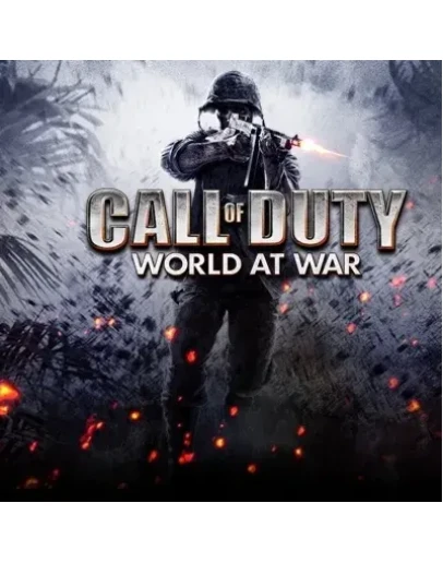Call of Duty: World at War Steam Аккаунт на 6 месяцев