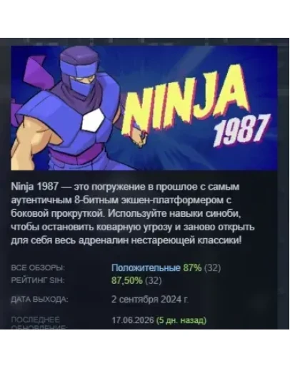 Ninja 1987 АВТОДОСТАВКА STEAM РОССИЯ Ninja 1987 АВТОДОСТАВКА STEAM РОССИЯ