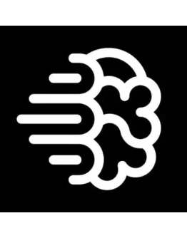 Подписка IdeogramBasic / Plus / Pro