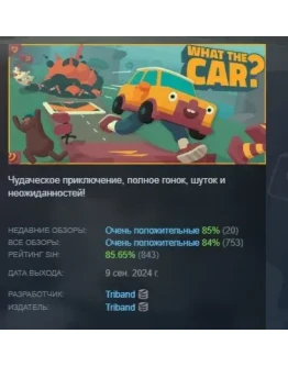 WHAT THE CAR? АВТОДОСТАВКА STEAM РОССИЯ WHAT THE CAR? АВТОДОСТАВКА STEAM РОССИЯ