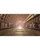 Backrooms Media АВТОДОСТАВКА STEAM РОССИЯ