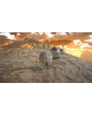 Pushing It! With Sisyphus АВТОДОСТАВКА STEAM РОССИЯ