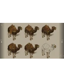 Mount & Blade II: Bannerlord - Digital Companion XBOX Mount & Blade II: Bannerlord - Digital Companion XBOX