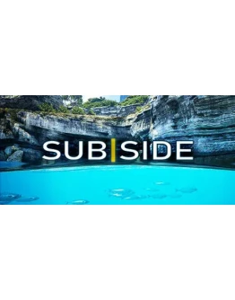 Subside АВТОДОСТАВКА STEAM РОССИЯ