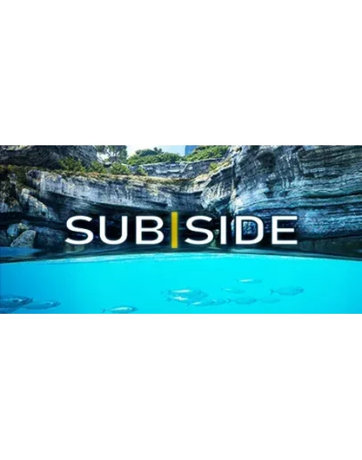 Subside АВТОДОСТАВКА STEAM РОССИЯ