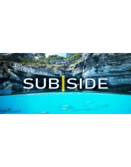 Subside * STEAM РОССИЯ АВТОДОСТАВКА 0 КАРТЫ