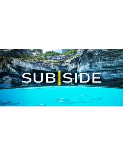 Subside * STEAM РОССИЯ АВТОДОСТАВКА 0 КАРТЫ