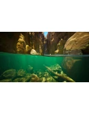 Subside * STEAM РОССИЯ АВТОДОСТАВКА 0 КАРТЫ